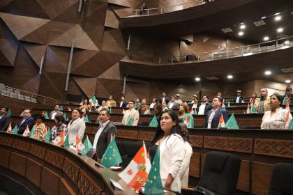 Cámara de Diputados aguarda el informe del comité y la comisión de Constitución para tratar la ley de subnacionales