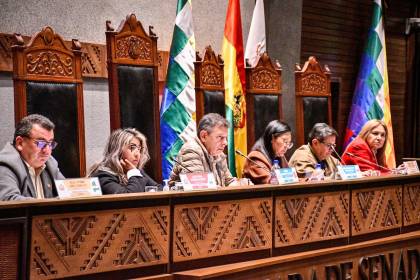 Senado: Así quedan conformadas las 10 comisiones y los 20 comités para la legislatura 2025-2026