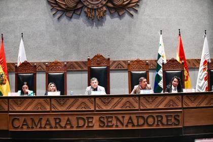 Senado aprueba con modificaciones el proyecto para abrogar la Ley 1720 y lo devuelve a Diputados