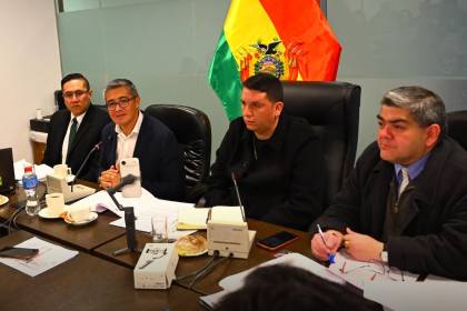 Comisión de Diputados aprueba tres créditos por más de $us 564 millones para agricultura y protección social