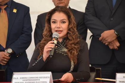 TSE reporta 39 renuncias de mujeres y 12 denuncias por acoso y violencia política en Bolivia