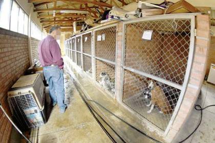 Muerte por rabia: Zoonosis descarta al perro señalado de morder a una niña como fuente de contagio y buscan origen de la transmisión