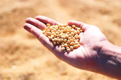 Productores de San Julián se declaran en emergencia, exigen “liberar” biotecnología y rechazan el “arancel cero” para la importación de la soya