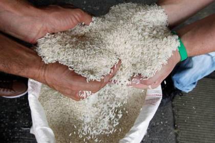 Empresa estatal recibió arroz importado que no cumple con especificaciones de calidad y no puede recuperar Bs 63 millones