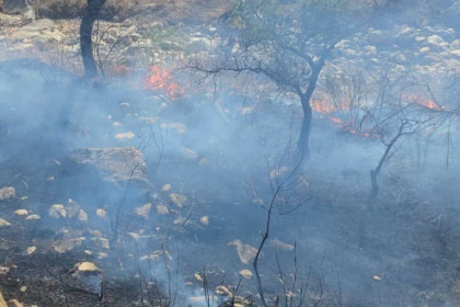 Cochabamba: Controlan tres incendios forestales en Vacas y Corani