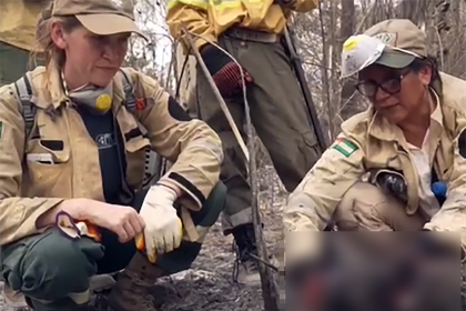 Incendios en Ascensión de Guarayos: “En 20 metros, hemos encontrado cinco animales muertos calcinados”, señala organización