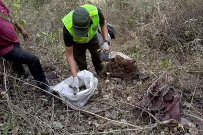 ¿Quiénes son? Hallan restos de dos personas en zonas boscosas de los Yungas
