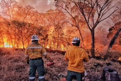 Santa Cruz alista declaratoria de desastre departamental por los incendios forestales