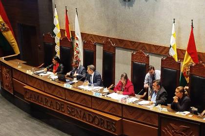 Ministro de Hidrocarburos se presenta ante el Senado para responder por el combustible 