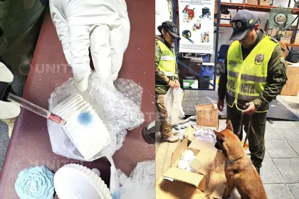Agente ‘Vlady’ detecta droga en envases de vela que tenían como destino Suecia