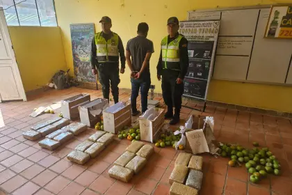 Hallan 26 paquetes de marihuana ocultos en cajas de tomate que iban como encomienda en un bus, reporta la Policía