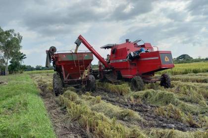 Gobierno: “Quienes producen son quienes alimentan a los bolivianos y nuestro deber es generarles condiciones”