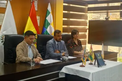 Combustibles: “Levantar el subsidio no es una tarea fácil”, dice ministro de Hidrocarburos