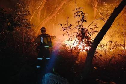 Pese a la lluvia, hay más de 40 incendios activos en Santa Cruz; la Gobernación reitera pedido para declarar desastre en Bolivia