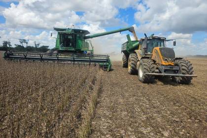 Gobierno libera 880.000 toneladas de grano de soya para exportación; los productores esperan la apertura total