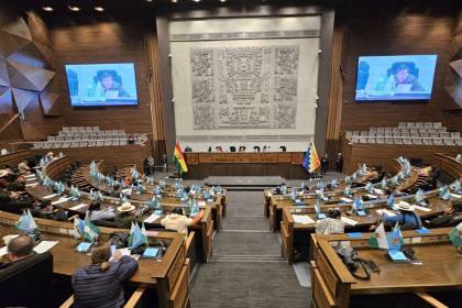 Convocan para este jueves a sesión de Diputados para tratar dos créditos por más de $us 314 millones