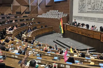 Cámara de Diputados tratará este miércoles un crédito de más de $us 67 millones