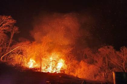 CAO señala que hay productores afectados por incendios y pide aplicar “mecanismos técnicos” para identificar a los responsables 