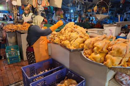 El kilo del pollo sube hasta Bs 27 en mercados de Cochabamba y la venta disminuye