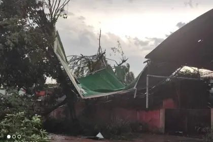 Videos: Vientos huracanados e intensas lluvias dejan techos destruidos y árboles caídos en Bermejo