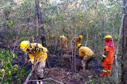 INRA insta a buscar soluciones técnicas para cambiar el uso del fuego en la agricultura