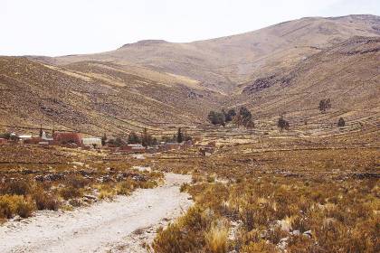 Hallan partes del cuerpo de una persona en un lote baldío en Oruro