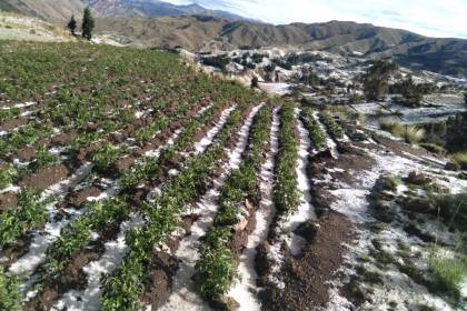 Intensa granizada afectó al menos 13 comunidades en Tacaparí, autoridades analizan declararse en desastre