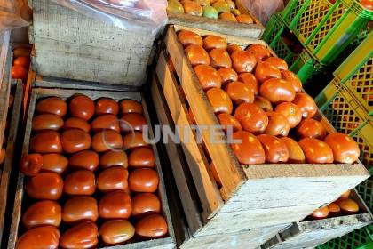 Precio del tomate baja a Bs 3 el kilo en Santa Cruz de la Sierra en medio de los bloqueos