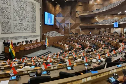 Vicepresidencia convoca a sesión de la ALP para este miércoles para tratar un crédito millonario y otros proyectos 