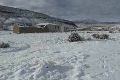 Pronostican nevada en una región de Bolivia; preocupa daños en sembradíos y animales