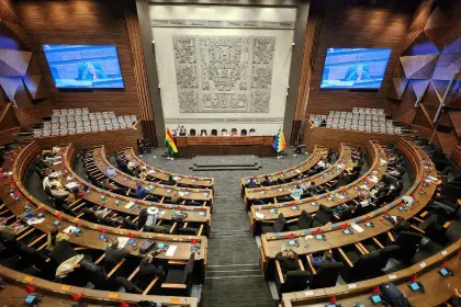 Cámara de Diputados sesiona para tratar leyes del TREP, el debate obligatorio y un paquete de créditos de $us 335 millones 