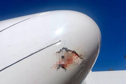 BoA reporta que los vuelos se demoraron el sábado por la “colisión de aves” y el clima