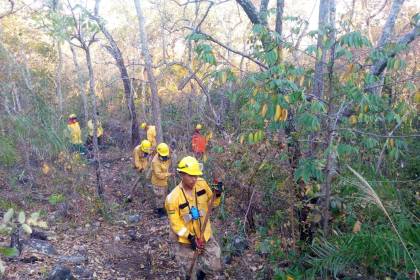 “La mayoría de los incendios forestales no son de forma natural, han sido provocados”, lamenta bombero voluntario