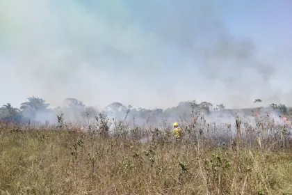 Reportan 13 incendios forestales activos que afectan ocho municipios en Santa Cruz