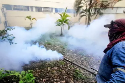 Suman 37 internados por chikungunya en Santa Cruz y Sedes prevé que el pico de la epidemia sea en marzo