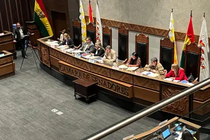 Senado aprueba en su estación en grande el proyecto de ley para las elecciones subnacionales en Bolivia
