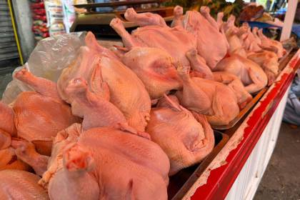 Bloqueos: En La Paz el kilo de pollo se vende hasta en Bs 33; en Santa Cruz la tendencia es a la baja