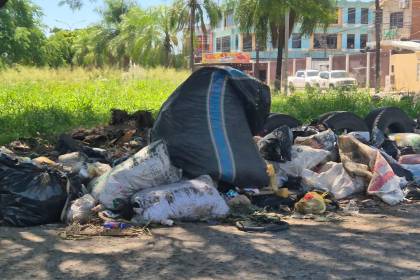 Calles y avenidas con basura, parques y plazuelas con maleza, así luce la capital cruceña a pocos días del Año Nuevo 