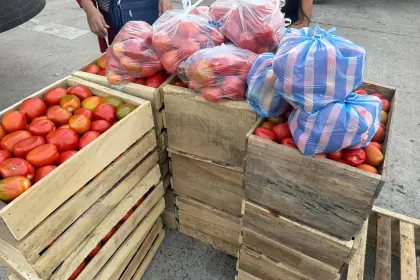 Bloqueos provocan sobreoferta de tomate en Santa Cruz y escasez crítica en La Paz y Cochabamba