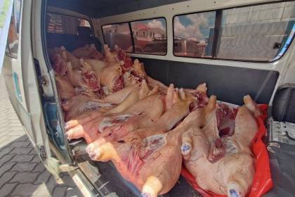 Decomisan 5.000 kilos de carne de cerdo que intentaban trasladar en barcazas con rumbo a Perú