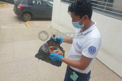 Vecinos hallan a una bebé de horas de nacida en una bolsa entre la maleza