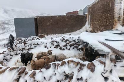 Nevadas en las dos últimas semanas dejan 82.728 familias afectadas en seis regiones de Bolivia