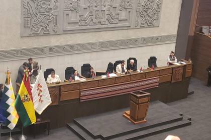 El Legislativo sesiona para interpelar a la ministra de Salud, pero los interpelantes piden la suspensión