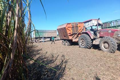 Escasez de diésel golpea al Norte Integrado cruceño y paraliza la recolección de caña de azúcar