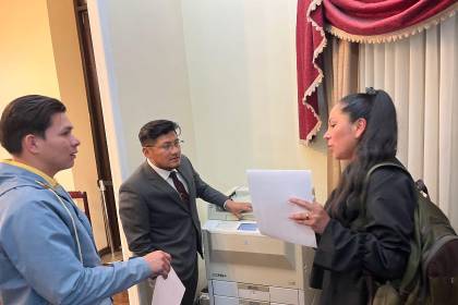 Primera postulante a vocal del Tribunal Supremo Electoral: ¿Quién es Eliana Mallea Verduguez?