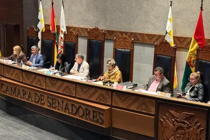 Crédito de $us 100 millones del Japón fue sancionado por el Senado y remitido al Ejecutivo