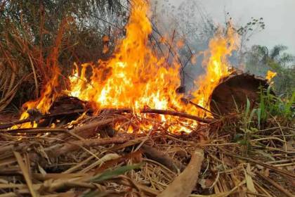 Al menos nueve personas que combatían incendios quedaron atrapadas por el fuego en Concepción, señala corregidora