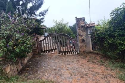 Asesinan a una adolescente de 15 años con un puñal; el sindicado es un joven de 22 que era su pareja