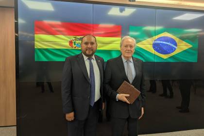 Bolivia y Brasil acordaron operativos de lucha conjunta contra el narcotráfico, informó viceministra