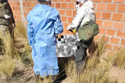 Feminicidio de Eulalia: Los dos hermanos del principal sospechoso están aprehendidos